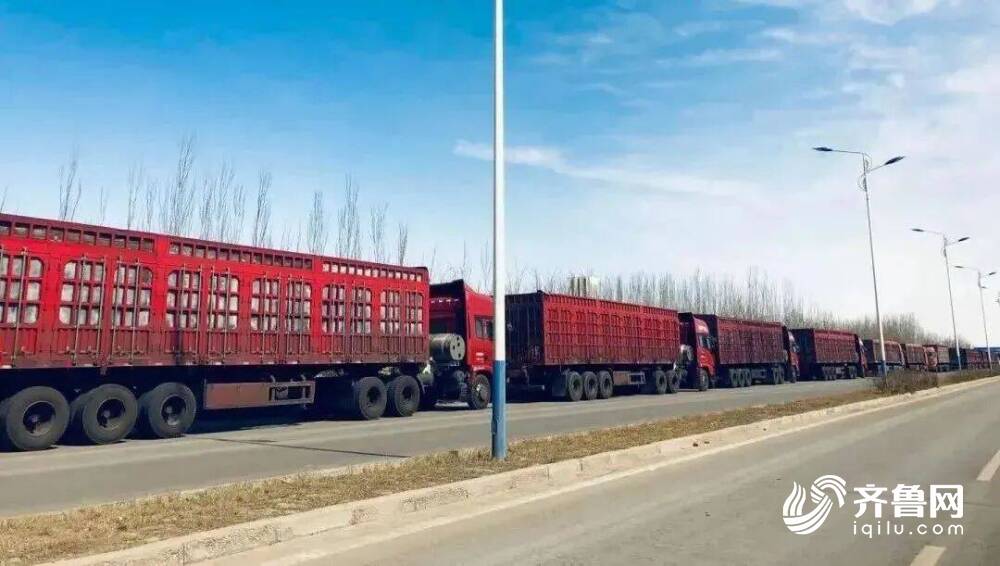 乐鱼网页版服从提拔超40%！山东能源新矿团体研发“汽车智能列队叫号办理体系”保证(图5)